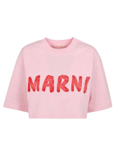 Marni Organic Cotton T Shirt In Neutrals