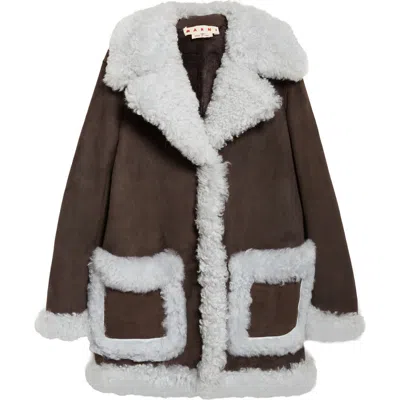 Marni Oversize Genuine Shearling Jacket In Brown
