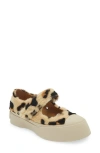 Marni Pablo Leopard Print Genuine Shearling Mary Jane Sneaker In Light/brown
