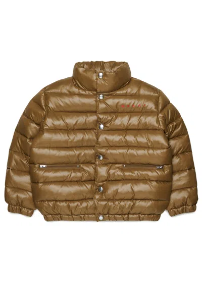 Marni Kids' Padded Jacket With Logo In Brown