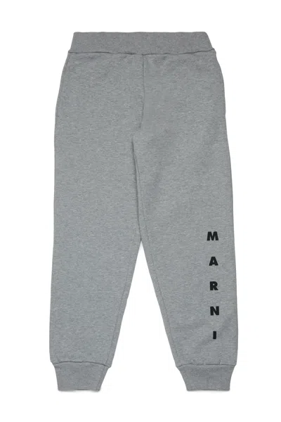 Marni Kids' Pantaloni Jogger In Felpa Con Logo In Gray