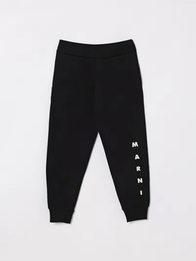 Marni Pants  Kids Color Black