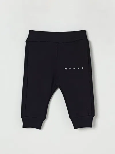 Marni Pants  Kids Color Black