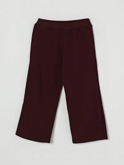 Marni Pants  Kids Color Burgundy