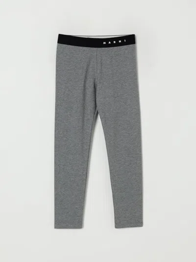 Marni Pants  Kids Color Grey In Gray