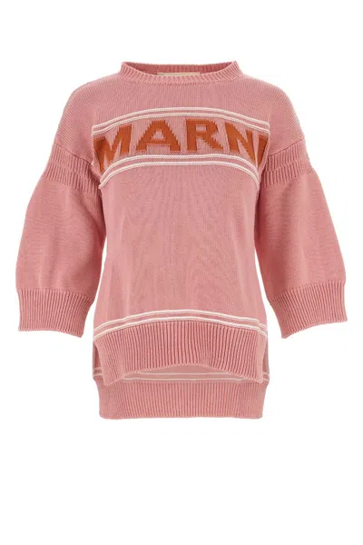 Marni Pink Cotton Sweater In Pinkgummy