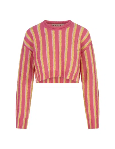 Marni Pink, Yellow And White Striped Knitted Crop Pullover In Multi