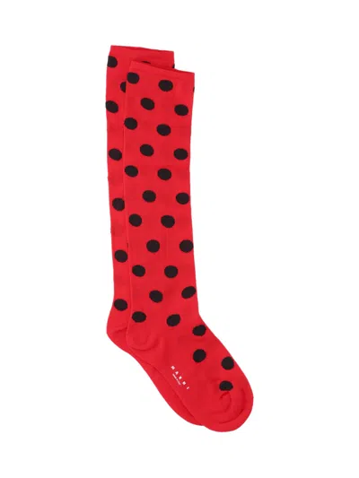 Marni Polka Dot Socks In Red