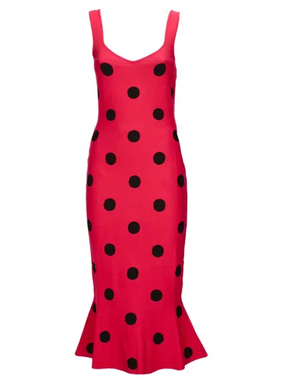 Marni Polka-dot Sheath Dress In Red