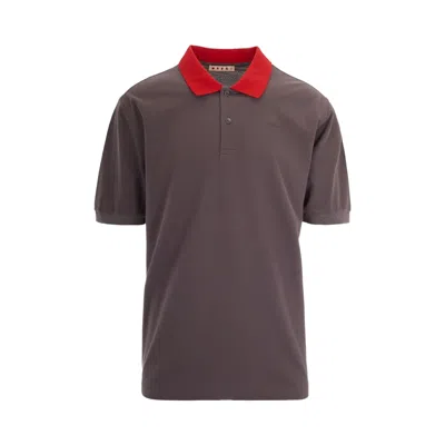 Pre-owned Marni Polo Neck Short-sleeve Shirt 'truffle' | Brown | Men's Size 48