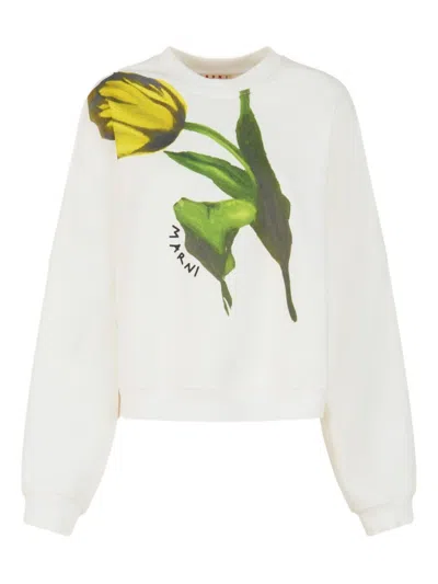 MARNI PRINTED SWEATSHIRT