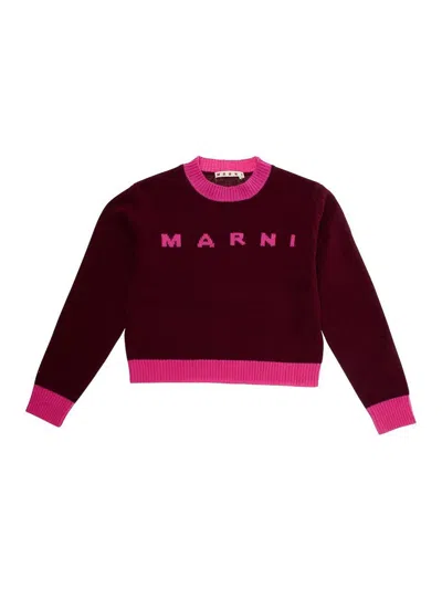 Marni L And Cashmere Sweater With Logo Kids In Brown