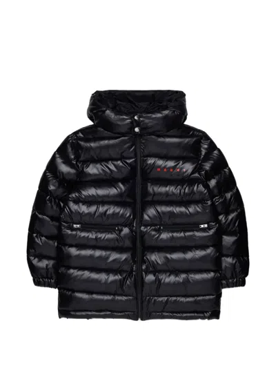 Marni Kids' Quilted Padded Jacket In Black