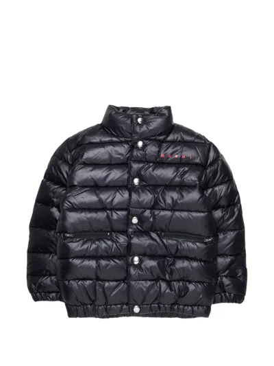 Marni Kids' Quilted Padded Jacket In Black