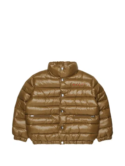 Marni Kids' Quilted Padded Jacket In Brown