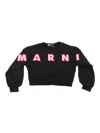 Marni Sweaters In Black
