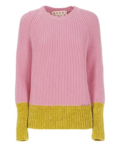 Marni Ribbed Knit Virgin Wool Sweater With Contrasting Trims In Pink