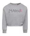 Marni Grey Crop Sweatshirt For Girl With Logo In Gray