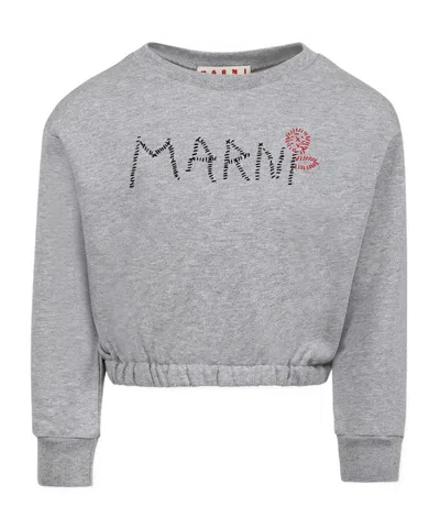 Marni Kids' Round-neck Sweater In Grey