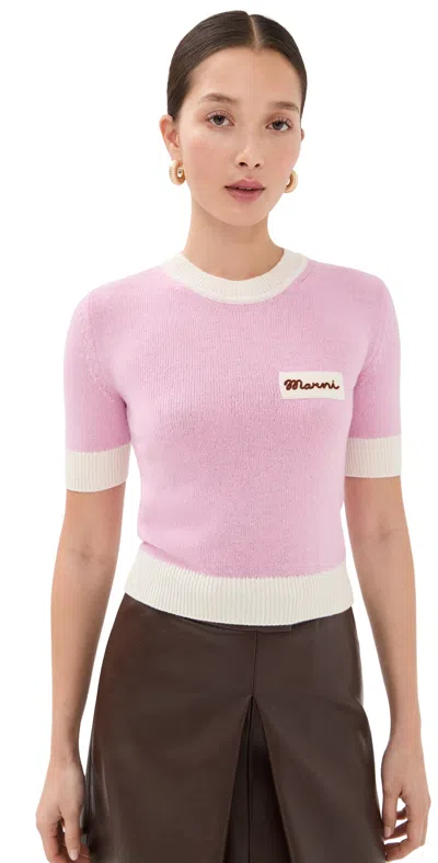 Marni Wool Blend Short Sleeve Crewneck Sweater In Pink