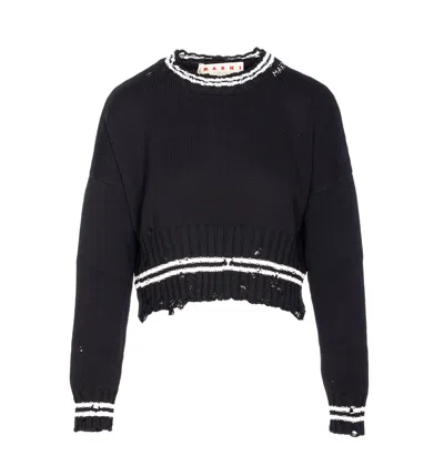 Marni Roundneck Sweater