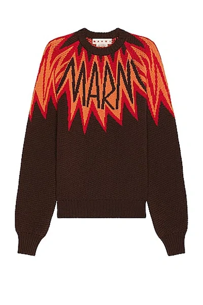 Marni Roundneck Sweater In Chestnut