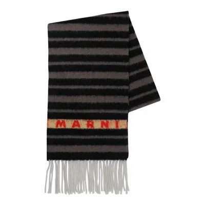 Marni Scarfs In Grey