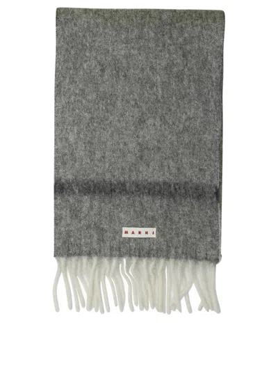 Marni Scarves In Gray