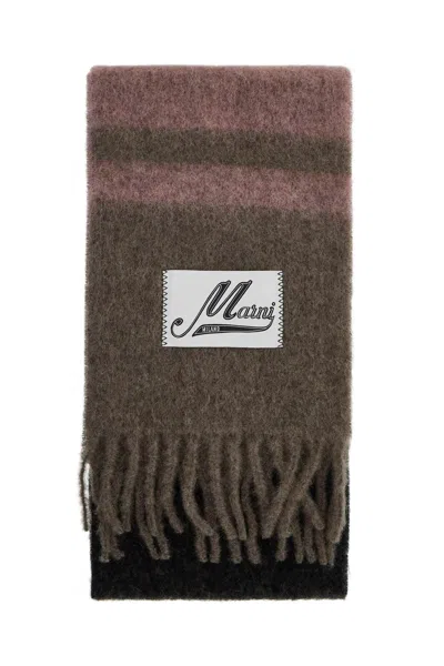 Marni Striped Brushed Scarf In Brown, Black, Pink