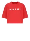 Marni T-shirts And Polos