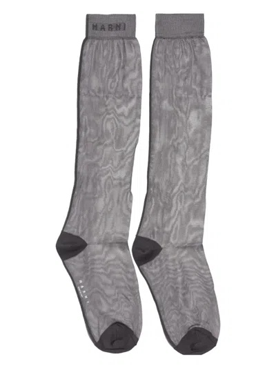 Marni Sheer Socks In Gray