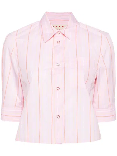 Marni Shirts In Pinkgummy