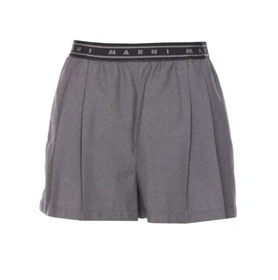 Marni Shorts In Gray