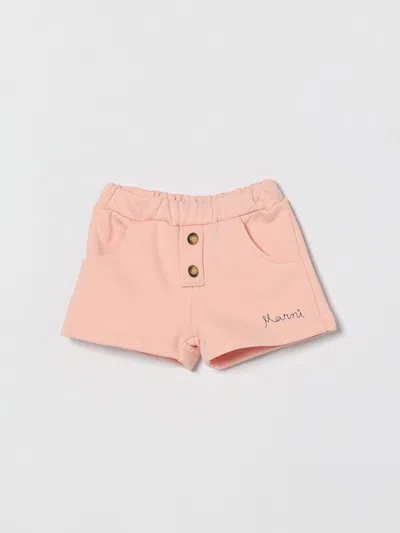 Marni Babies'  Cotton Jogging Shorts In Pink
