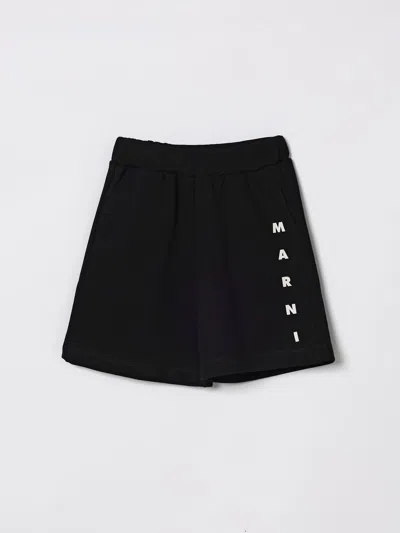 Marni Shorts Kids  In Black