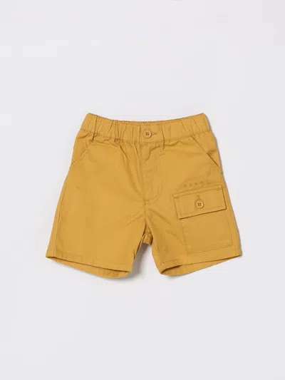 Marni Babies' Logo-embroidered Shorts In Brown