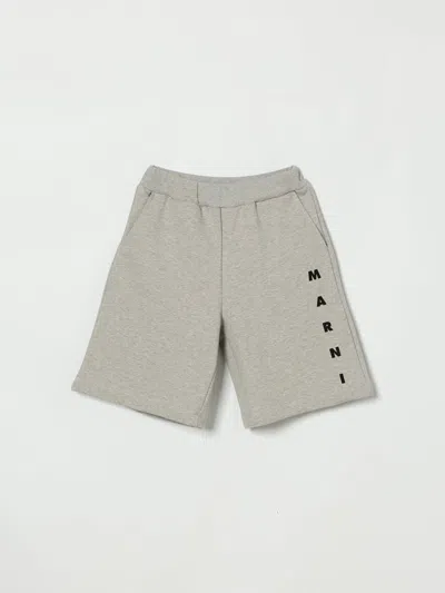 Marni Shorts  Kids Color Grey In Gray
