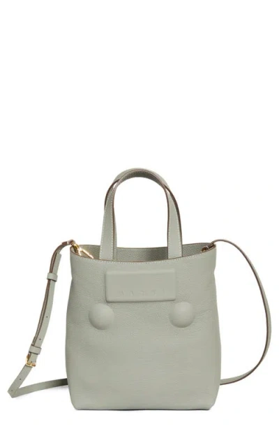 Marni Small Trunkaroo Leather Shopper In Light/grey