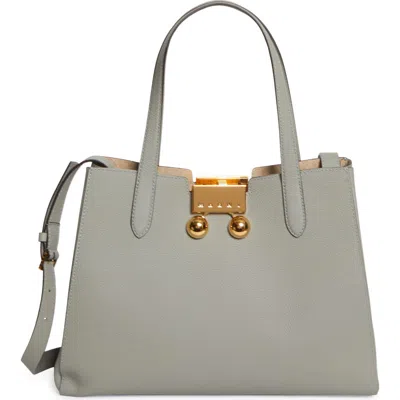 Marni Small Trunkaroo Leather Tote In Light/grey