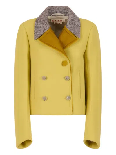 Marni Snakeskin-print Wool Jacket In Yellow