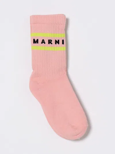 Marni Socks Kids  In Burgundy