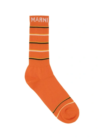 Marni Socks In Nectarine