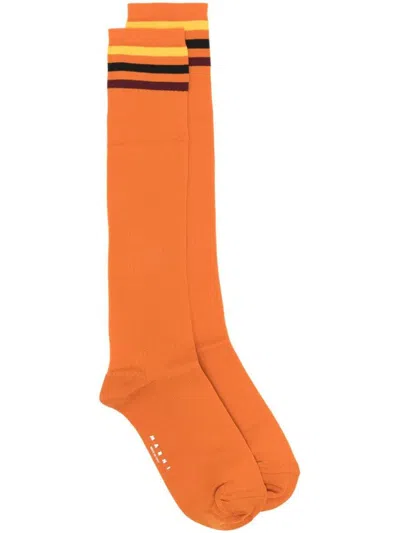 Marni Socks In Orange