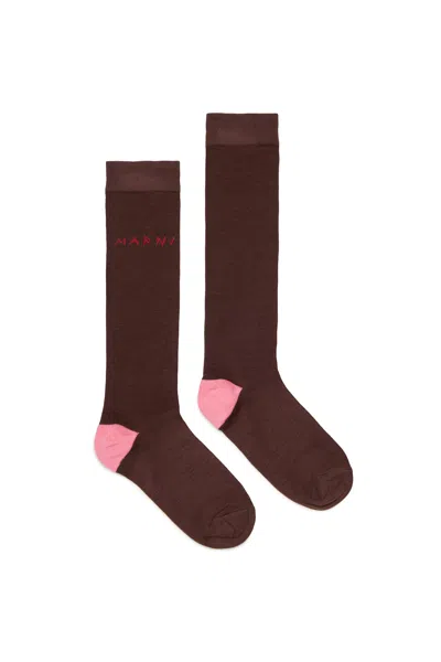 Marni Socks With Logo In Brown