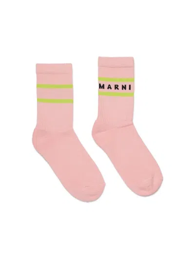 Marni Socks With Logo In Pink