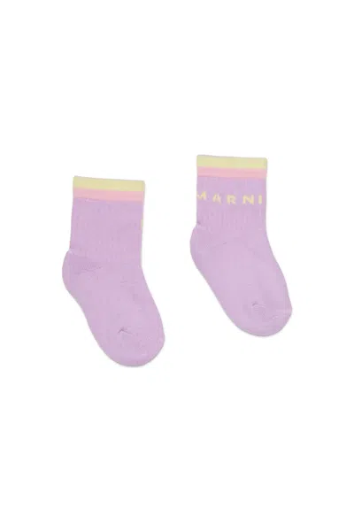 Marni Socks With Logo In Purple