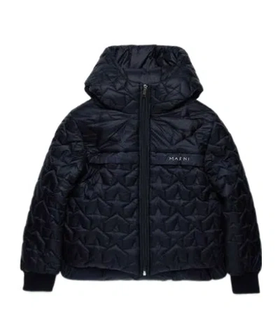 Marni Star Quilt Hooded Puffer Jacket In Black