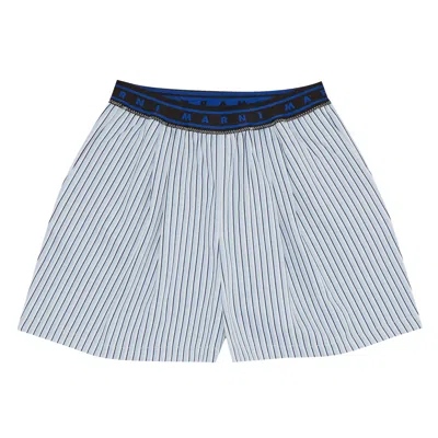 Pre-owned Marni Stripe Jersey Jacquard Pants 'vivid Blue' | Women's Size 42
