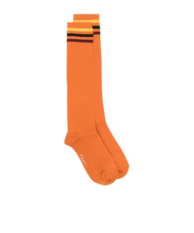 Marni Striped Ankle Socks In Pink