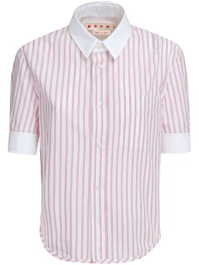 Marni Striped Cotton Shirt In White